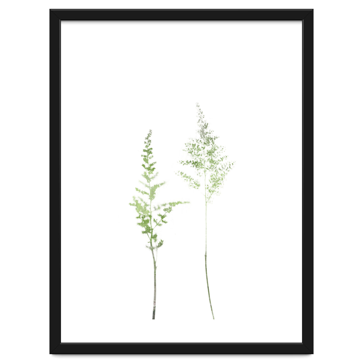Gentle Bloom