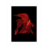 Betta (Print Only) thumbnail