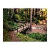 Ewoldsen Loop Bridge (Print Only) thumbnail