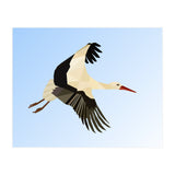 White Stork Bird Low Poly Art (Print Only) thumbnail