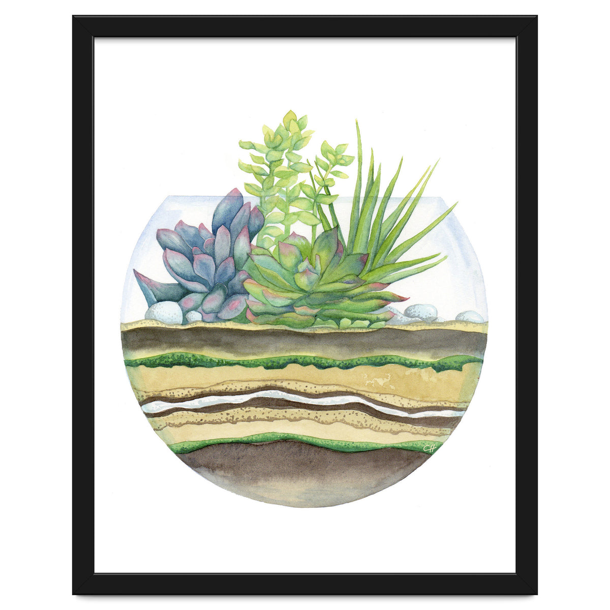 A Little Green Terrarium