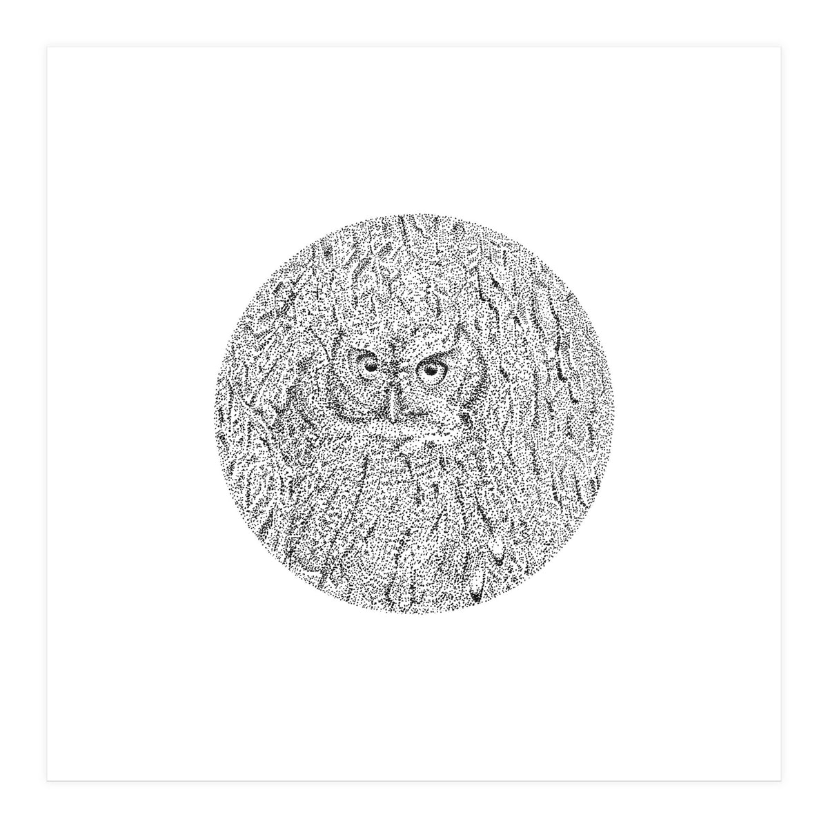 In Plain Sight (Print Only)