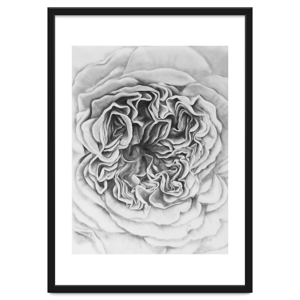 A Rose in Monochrome