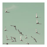 Mint Skies (Print Only) thumbnail
