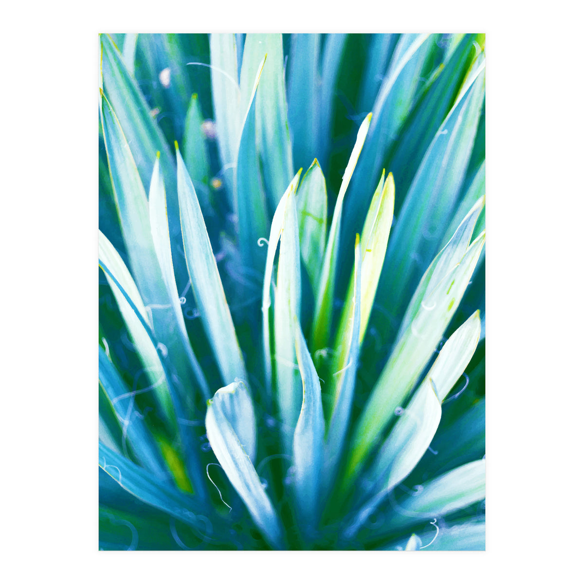 Heart Of Nature (Print Only)