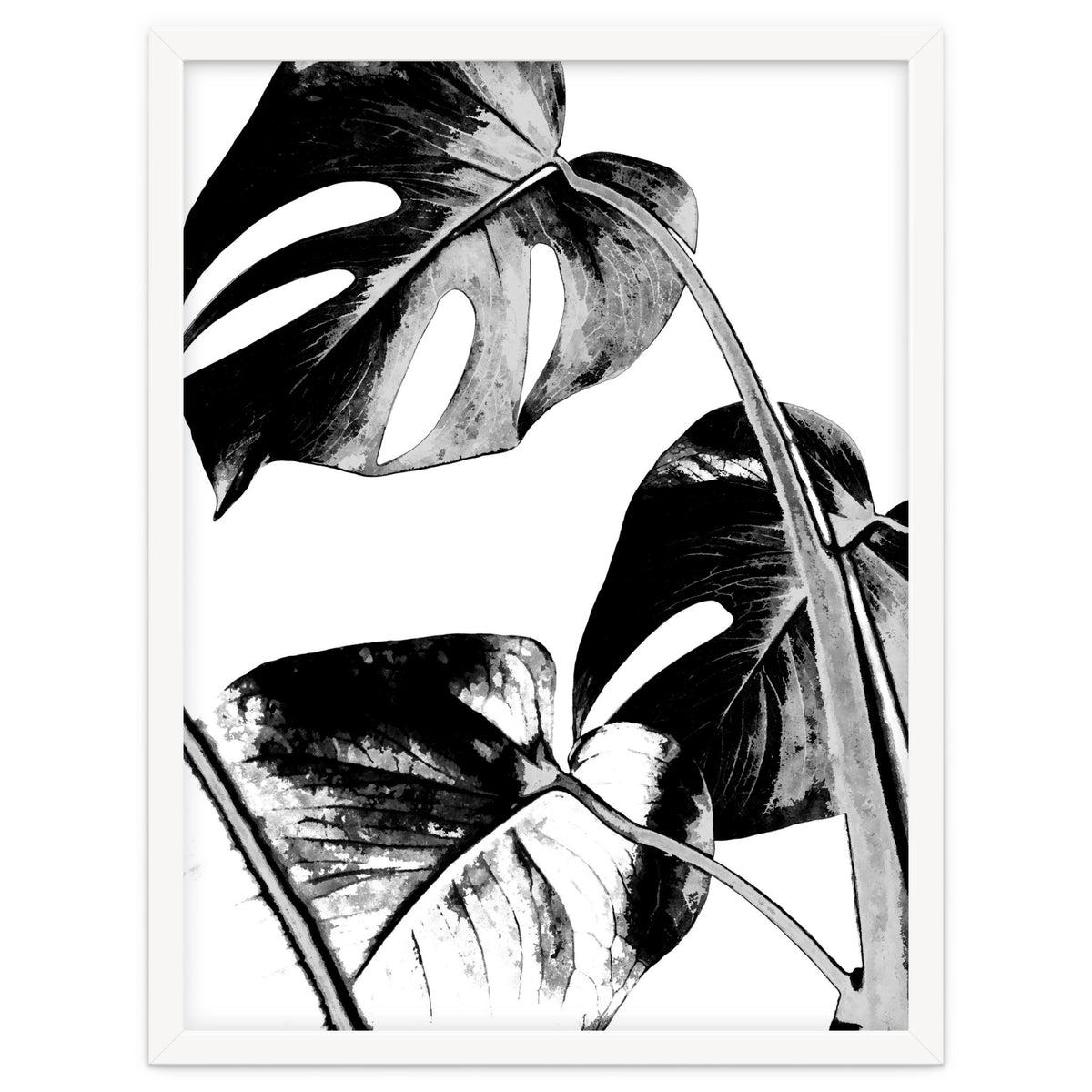 Black Tropical Leaves