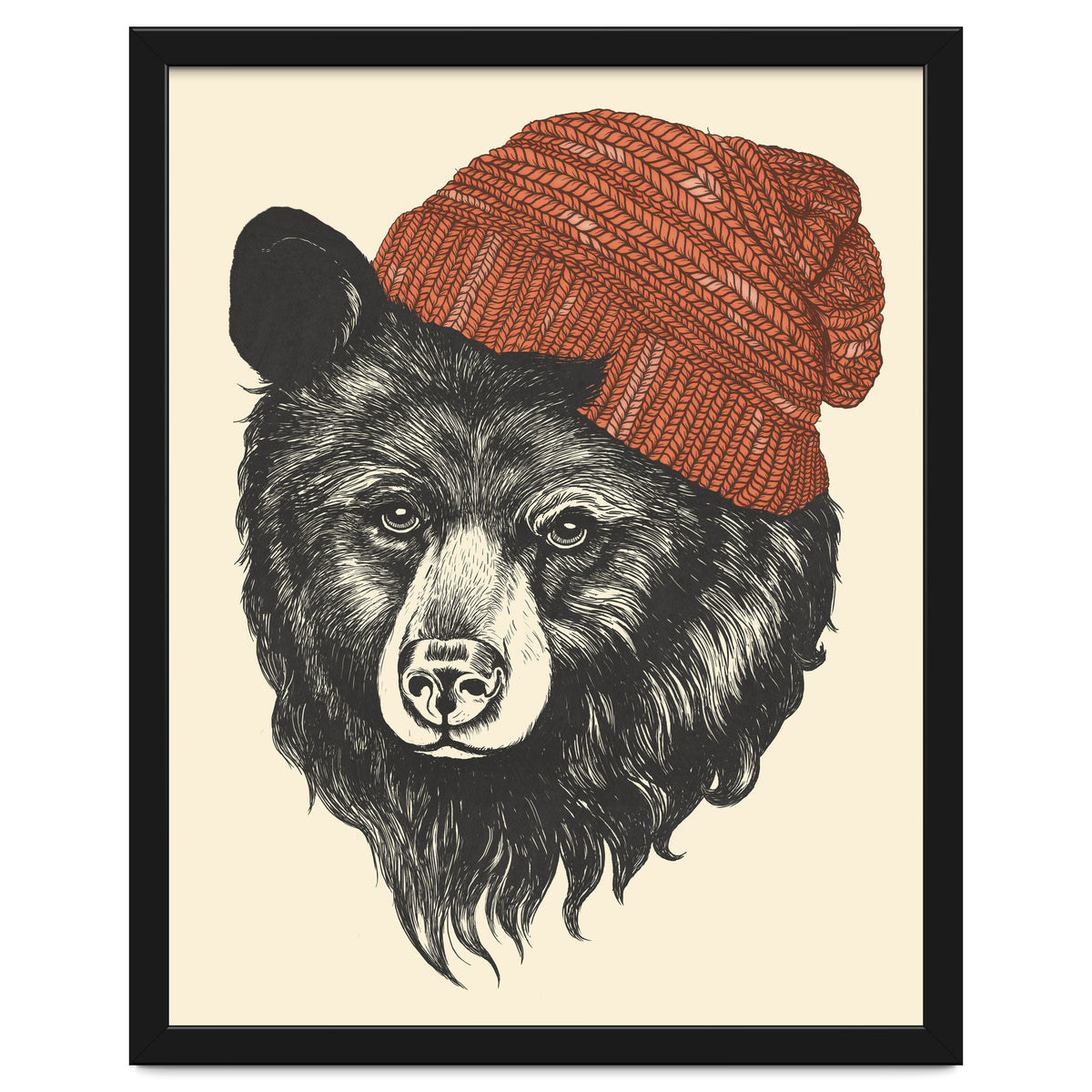 Zissou The Bear