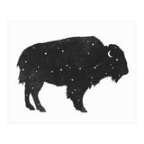 Mystic Buffalo (Print Only) thumbnail