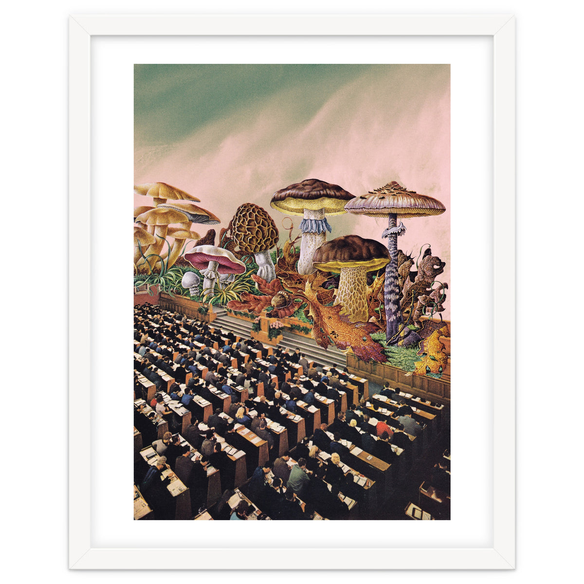 Psychedelic Experience