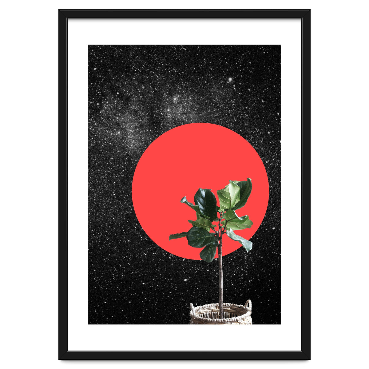 "Bonsai" - Digital Collage