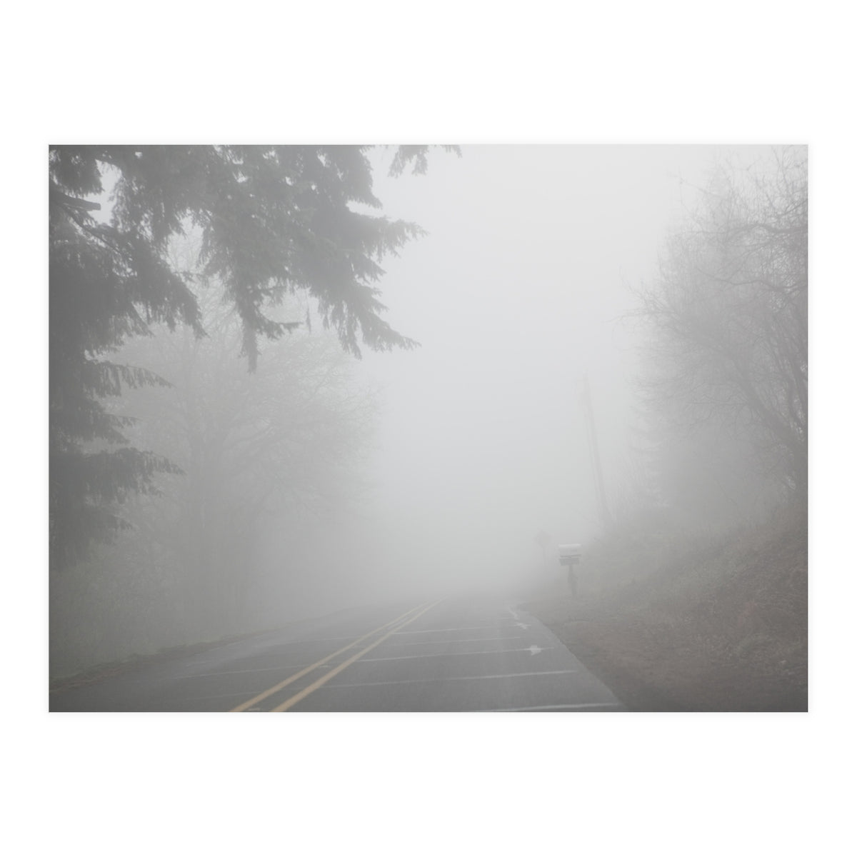 Missing Road (Print Only)