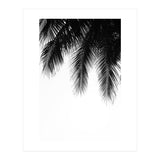 Palm leaves (Print Only) thumbnail