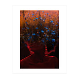 Dream Division 10 (Print Only) thumbnail