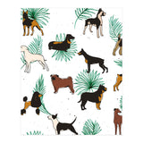 Miracles With Paws (Print Only) thumbnail
