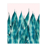 Summer Agave (Print Only) thumbnail