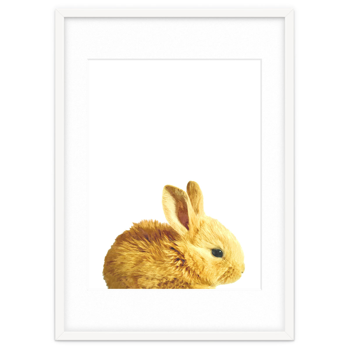 Bunny Portrait