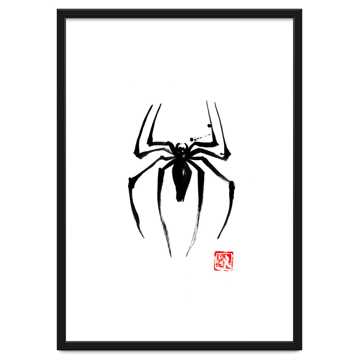 Spider