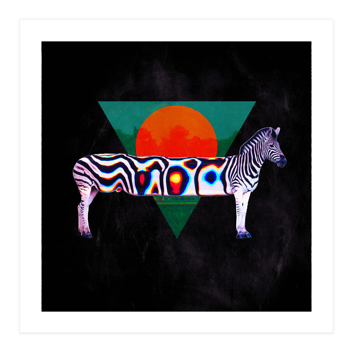 Zebra (Print Only)