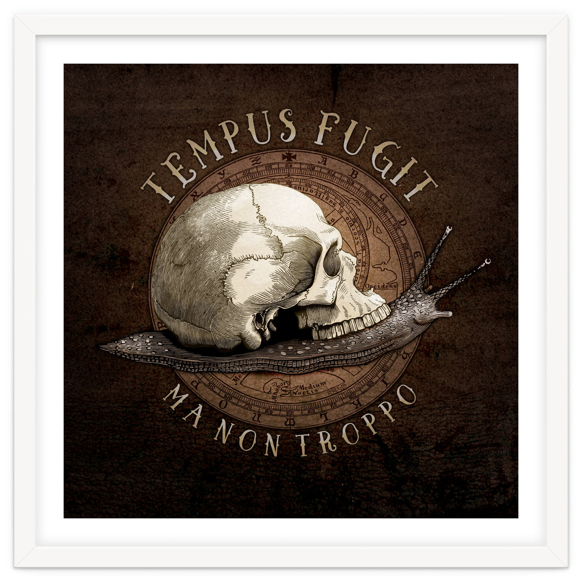 Tempus Fugit (ma non troppo)