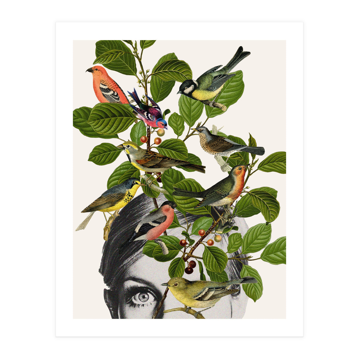 Twiggy Eyes (Print Only)