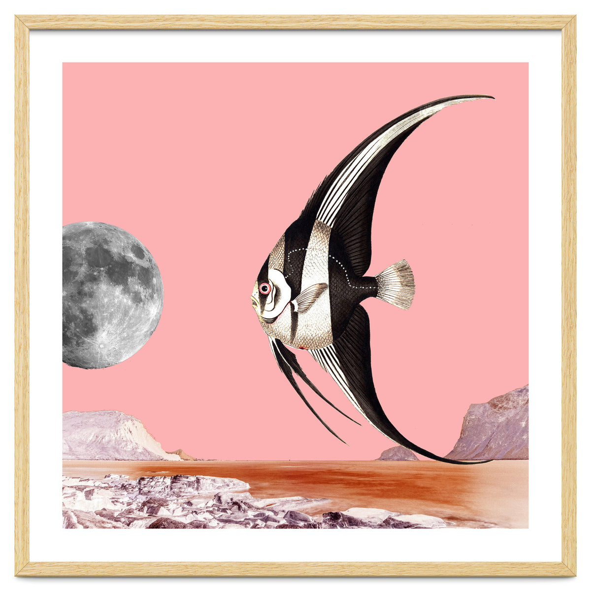 Plenty Of Fish In The Sea Pink