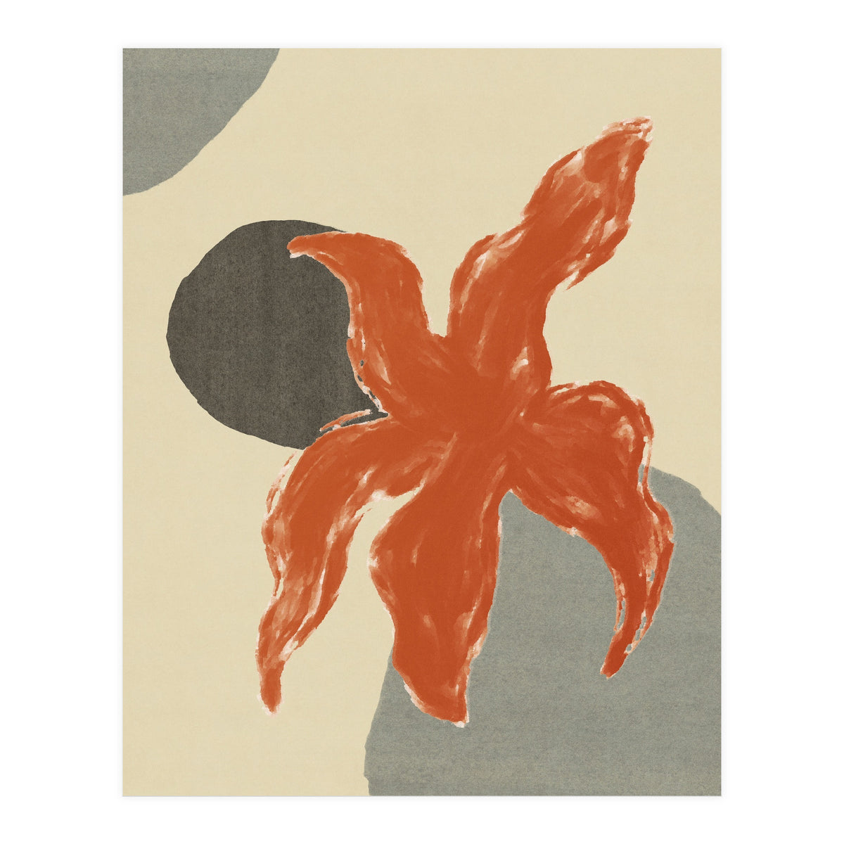 Wobbly Sea Star On Rocks \\ Abstract Composition (Print Only)