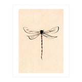 Dragonfly (Print Only) thumbnail