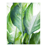 Tropic Abstract (Print Only) thumbnail