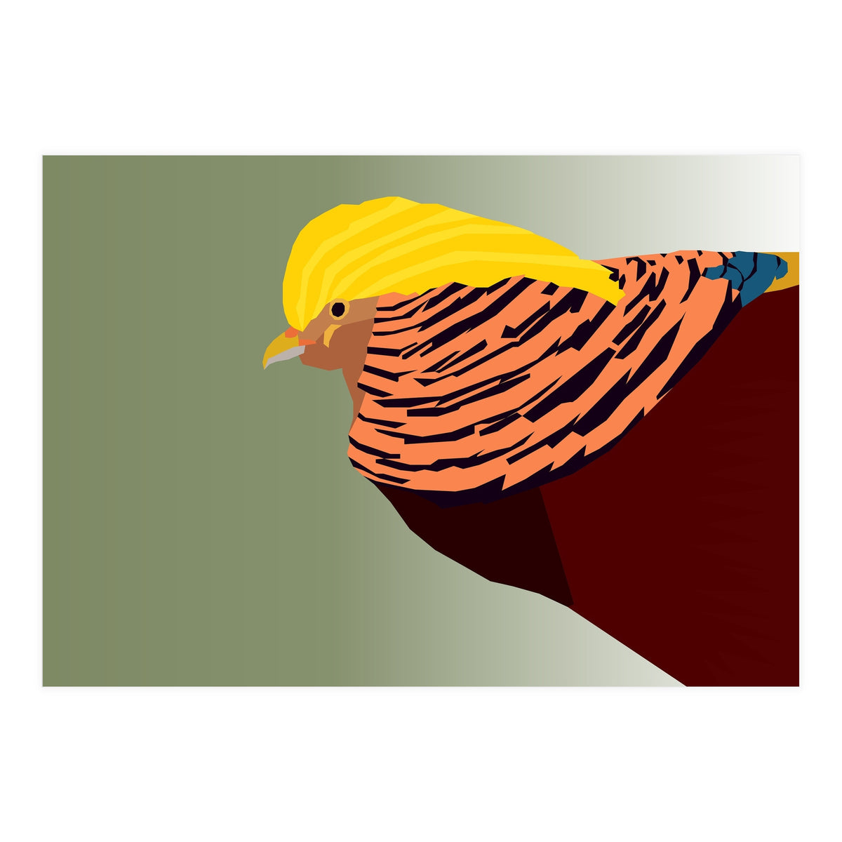 Golden Pheasant Bird Art (Print Only)
