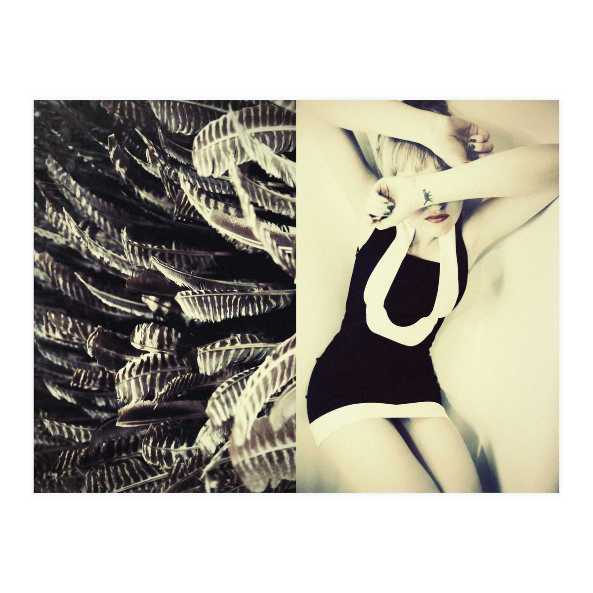 Featherish (Print Only)