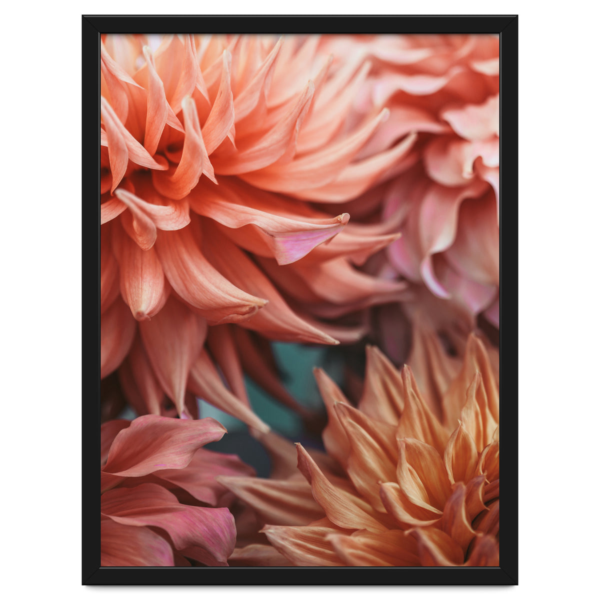 Vintage Dahlia