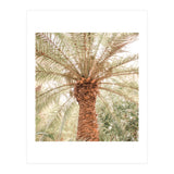 Tropical 2 (Print Only) thumbnail
