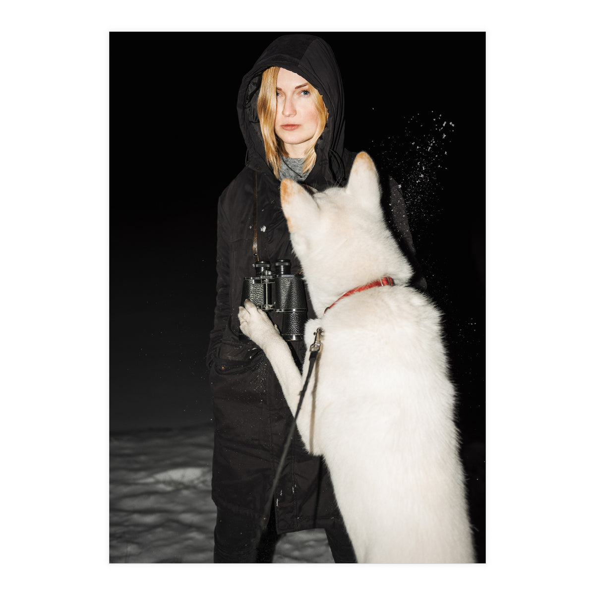 Wolf Gang (Print Only)