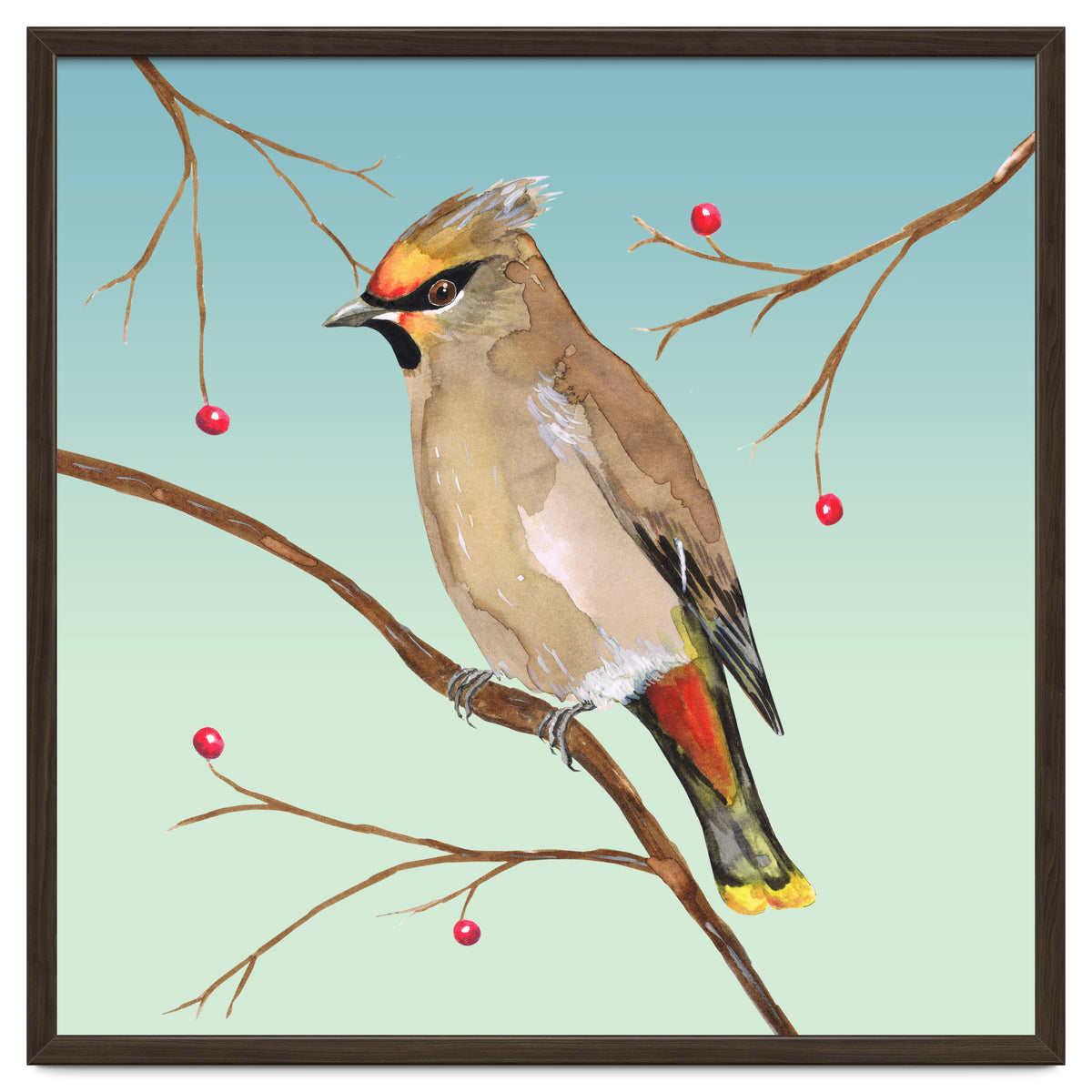 Bohemian waxwing