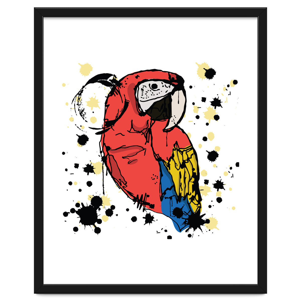 Guacamaya sketch