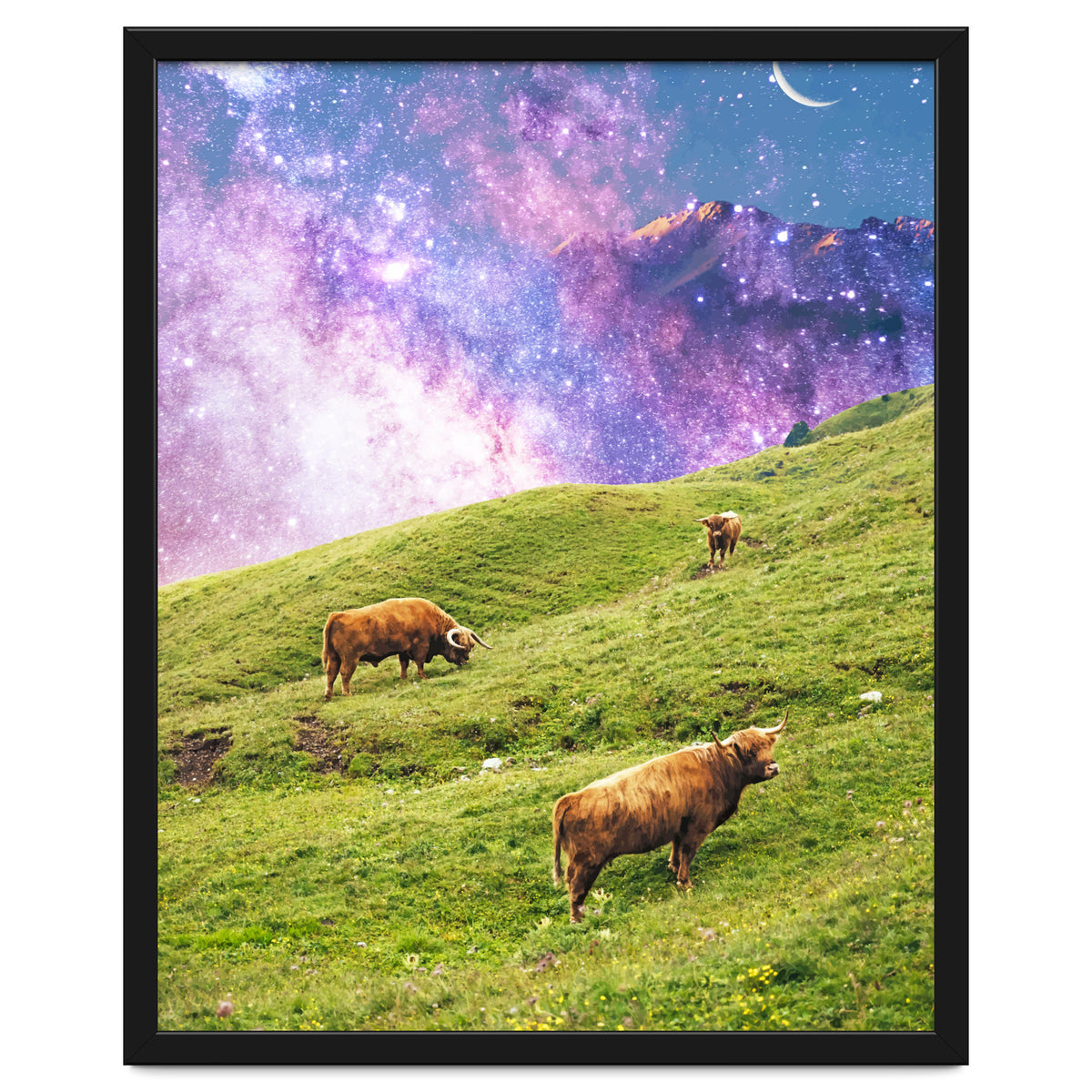 Space Cow Series II