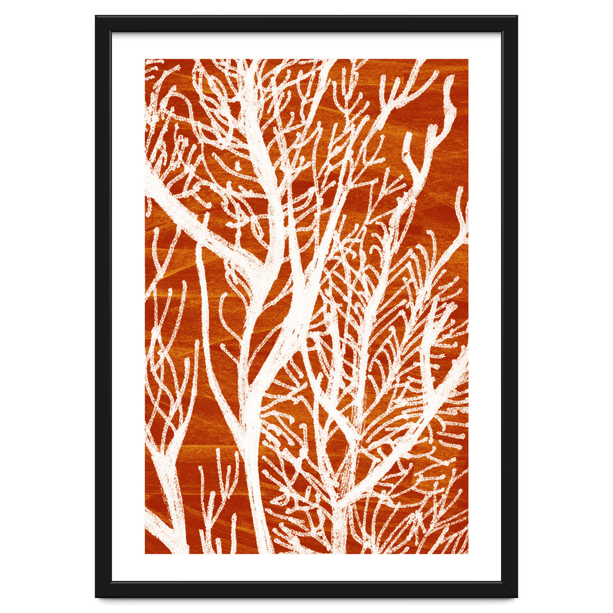 Desert Colours Collection 2