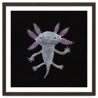 Axolotl