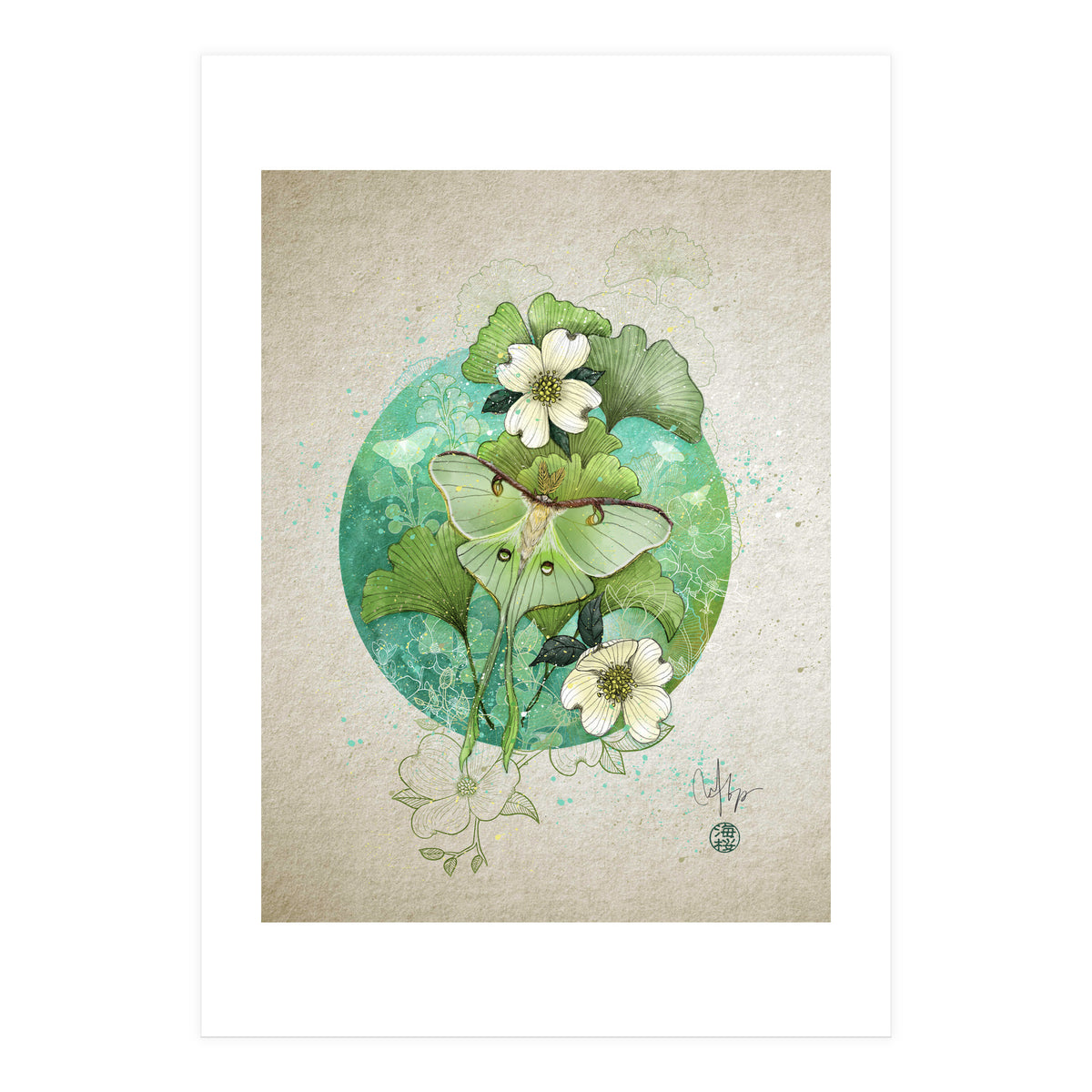 Luna Moth  (Print Only)