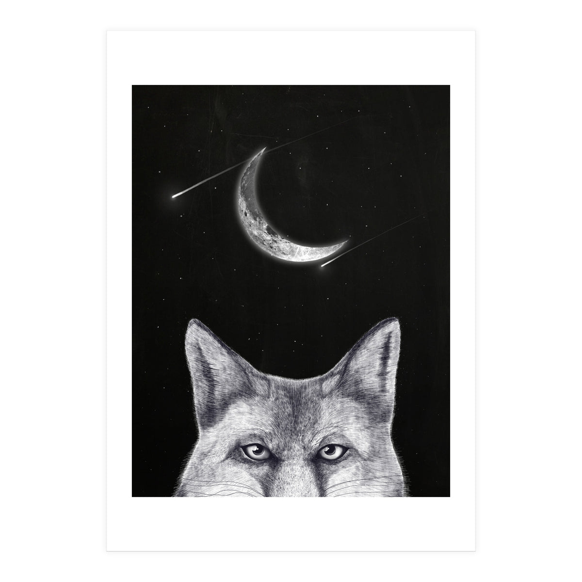 Fox Of The Night (Print Only)
