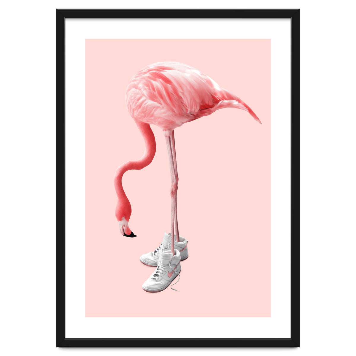 Sneaker Flamingo