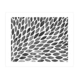 Black and white petal burst (Print Only) thumbnail