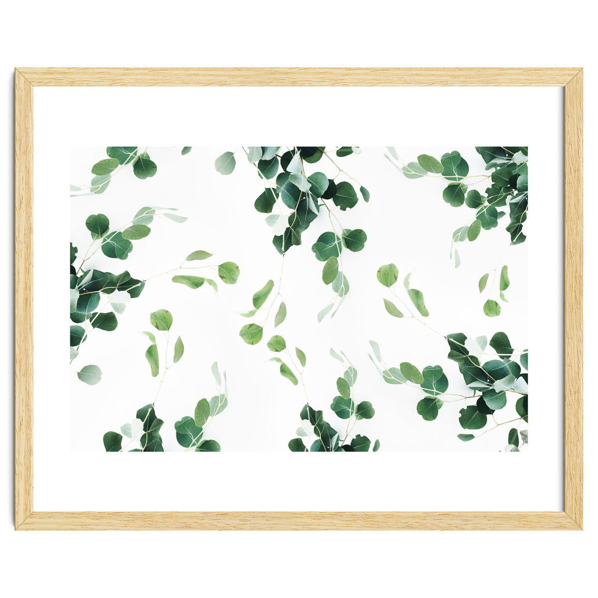 Botanical Celebration