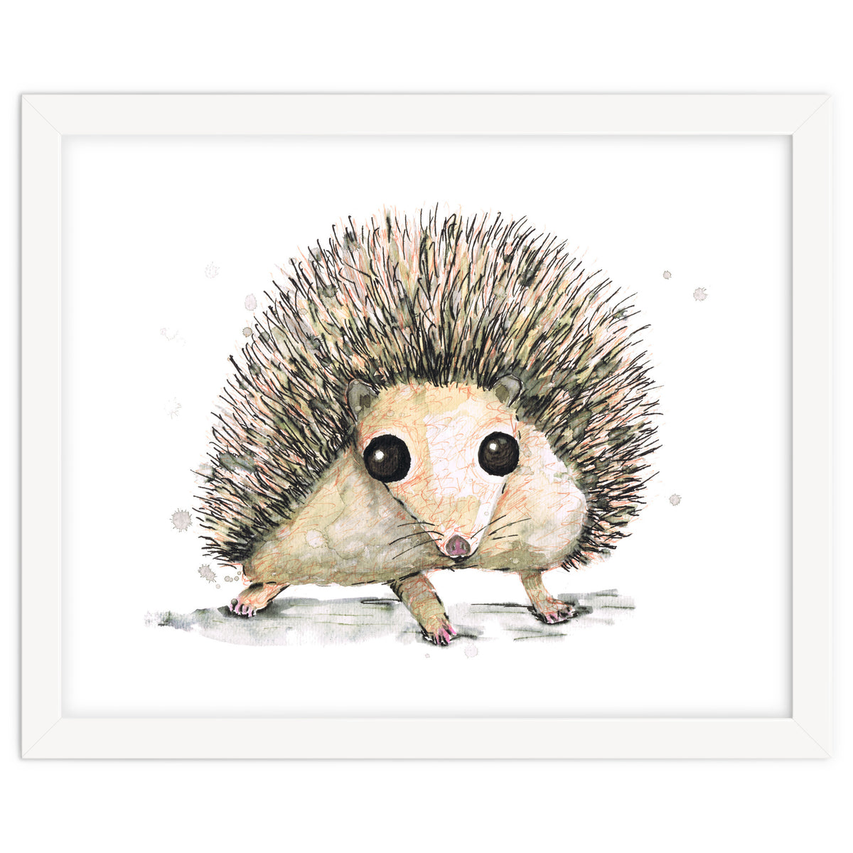 Hedgehog