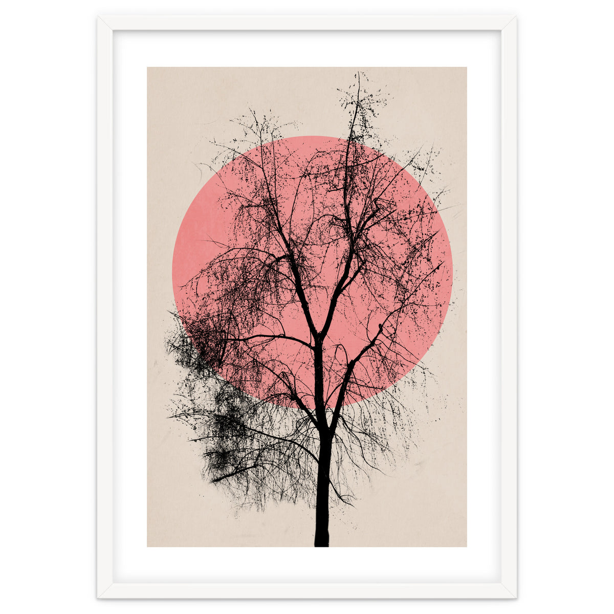 Memories And Moments