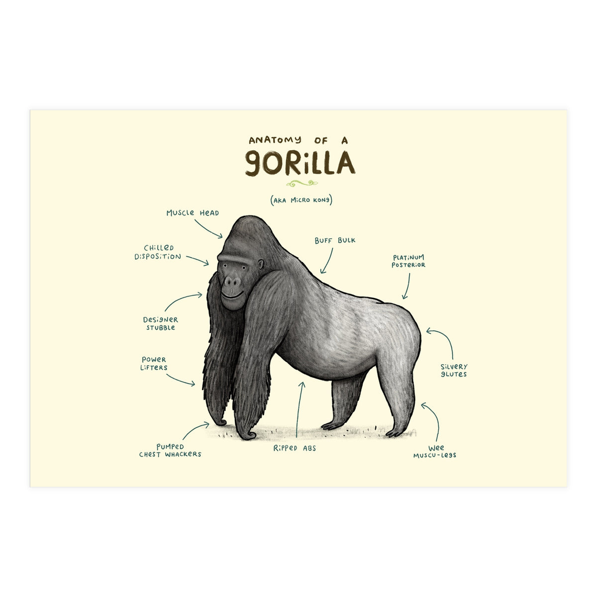 Anatomy of a Gorilla (Print Only)