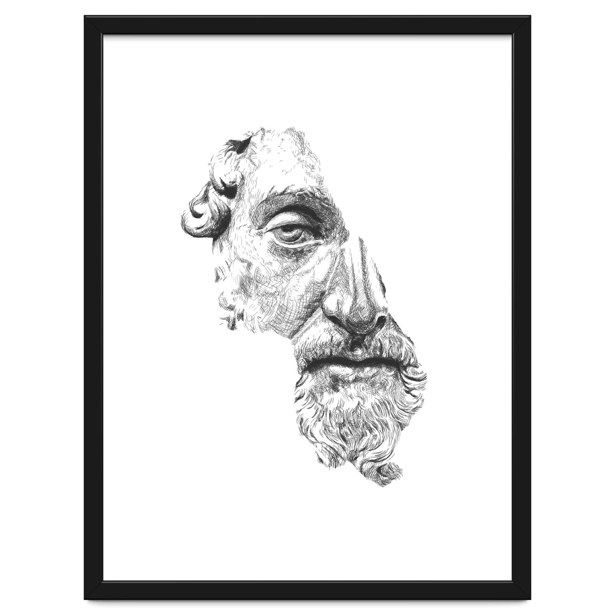 MARCUS AURELIUS ANTONINUS AUGUSTUS / black and white