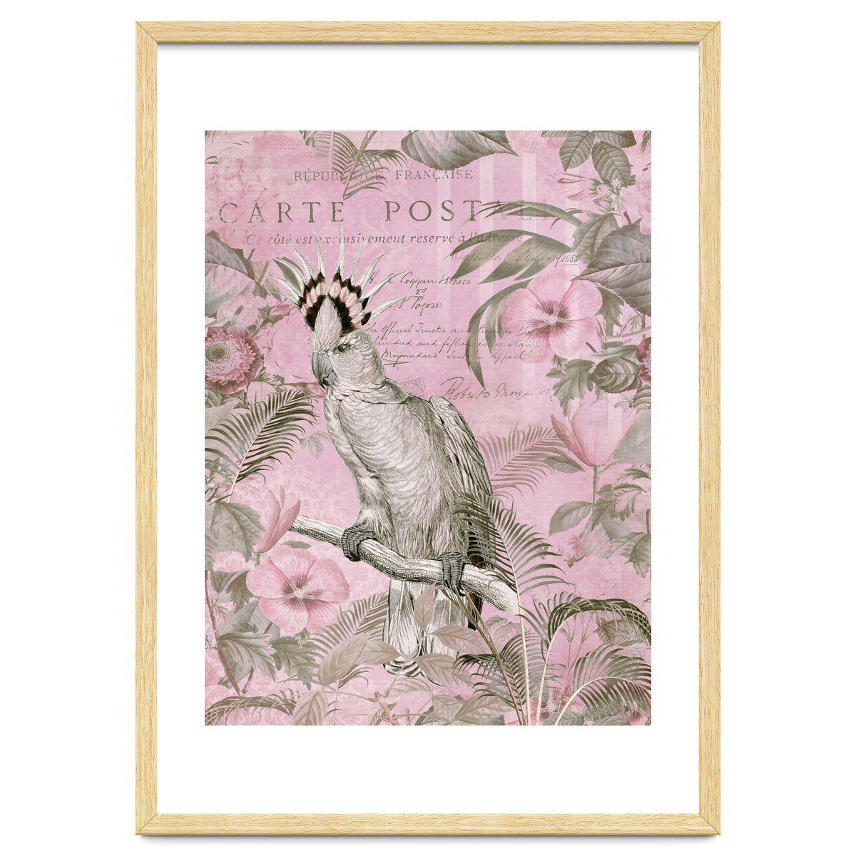 Jungle Cockatoo Pink