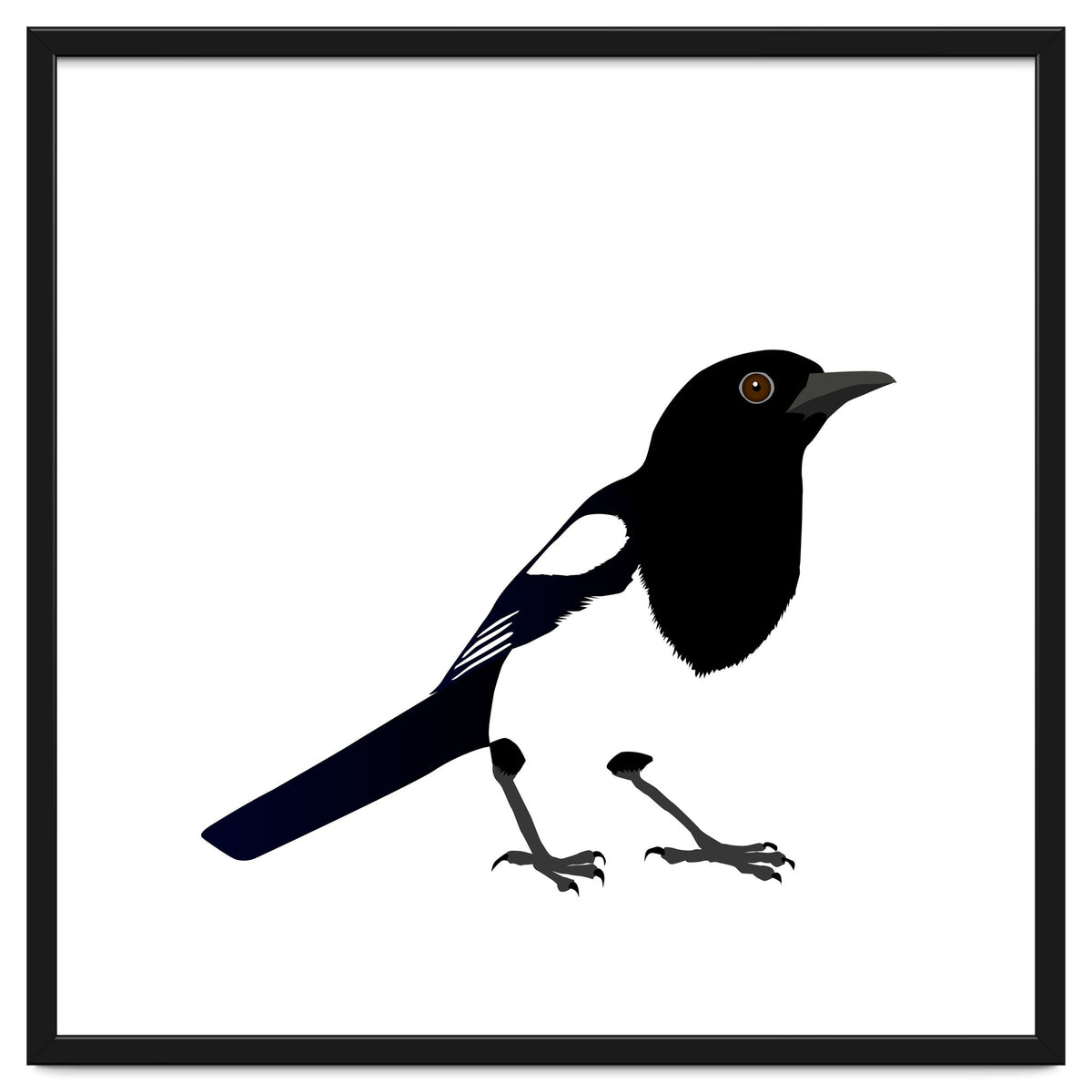 Magpie