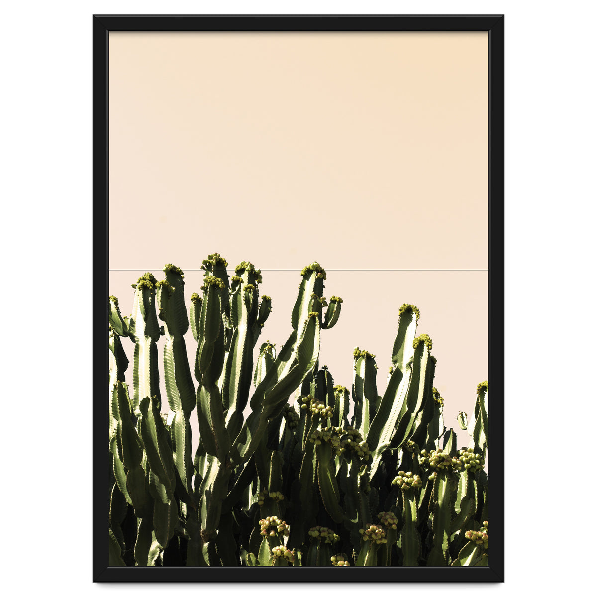 Cactus Vertical Color
